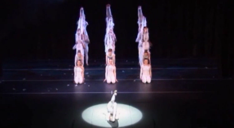 Annual Show Gymnastic Troupe